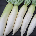 Дайкон  Универсал F1