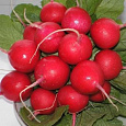 Редис Кардинал F1
